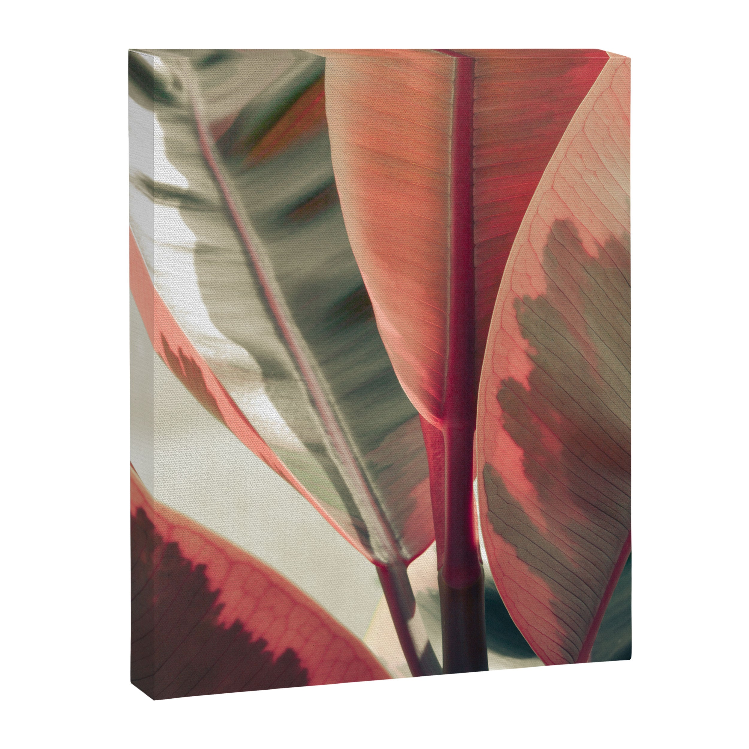 Beautiful Leaves Canvas Print Gallery Image 6