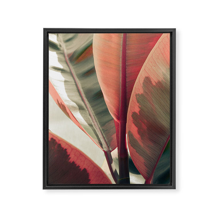 Beautiful Leaves Framed Canvas Print Gallery Image 1