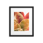 Beautiful Leaves II  botanical rubber plant leaf photograph Framed Art Print Gallery Image 5