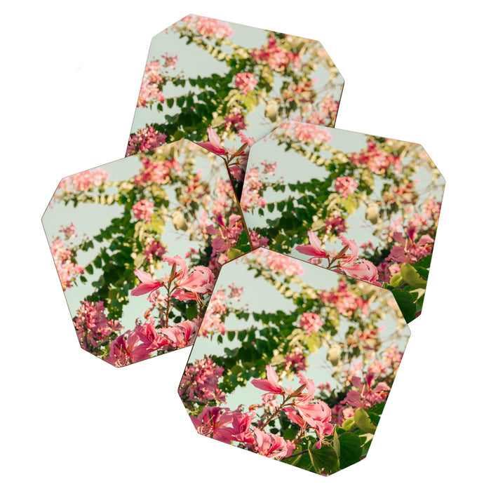Beauty Queens Coaster Gallery Image 1
