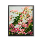 Beauty Queens Framed Canvas Print Gallery Image 6