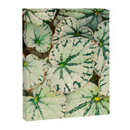 Begonia Leaf Canvas Print Gallery Image 6