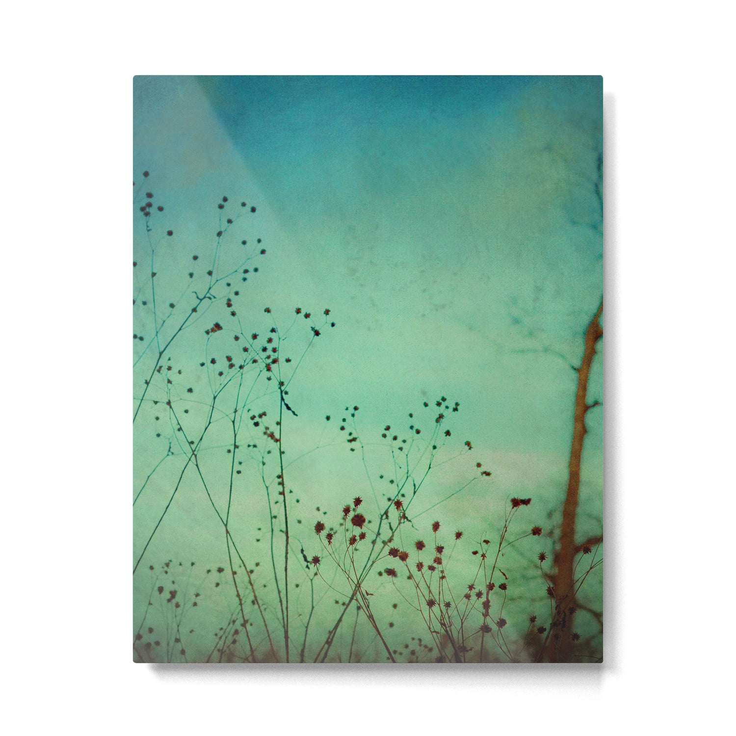 Between Autumn and Winter Metal Print Gallery Image 4