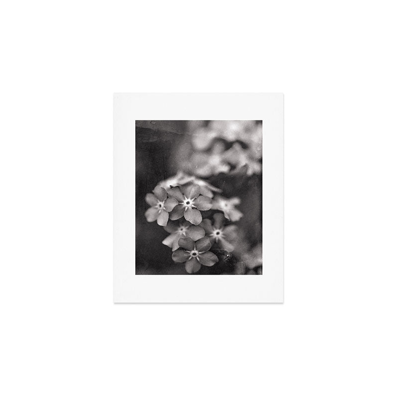 Black and White Botanical Flower Study 1 Art Print Gallery Image 1