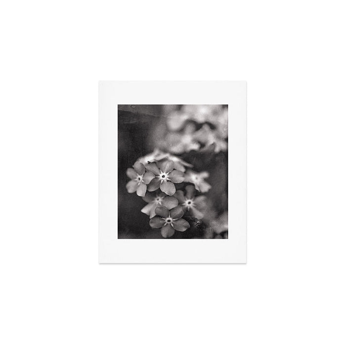 Black and White Botanical Flower Study 1 Art Print Gallery Image 1