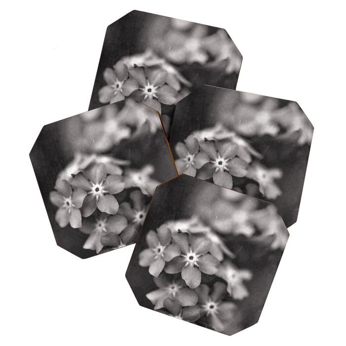 Black and White Botanical Flower Study 1 Coaster Gallery Image 1