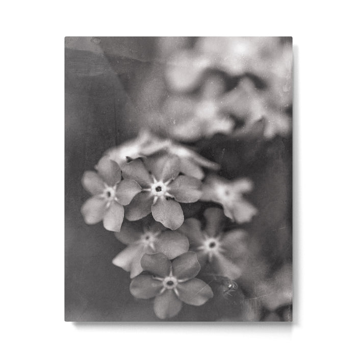Black and White Botanical Flower Study 1 Metal Print Gallery Image 1