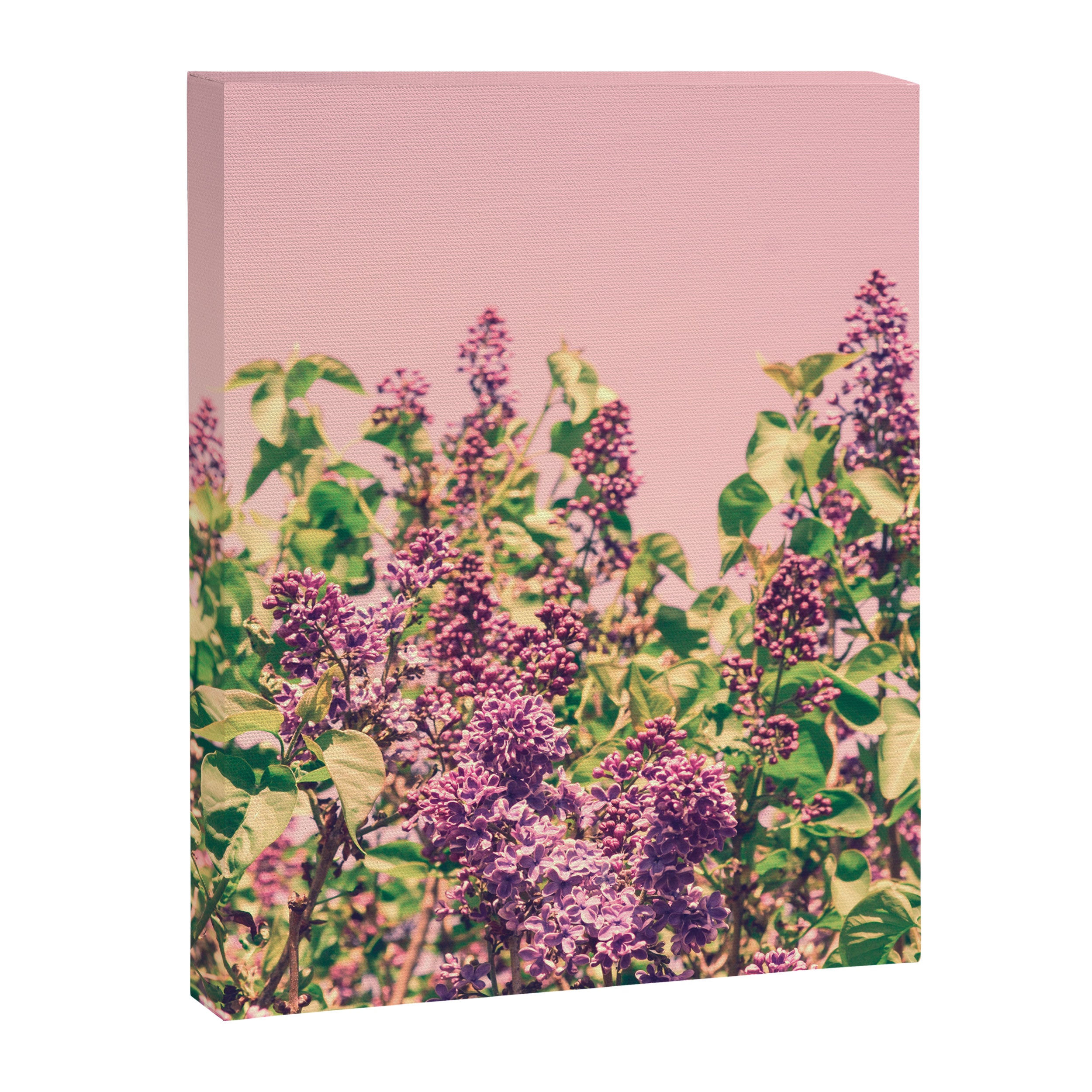 BLISS Canvas Print Gallery Image 6