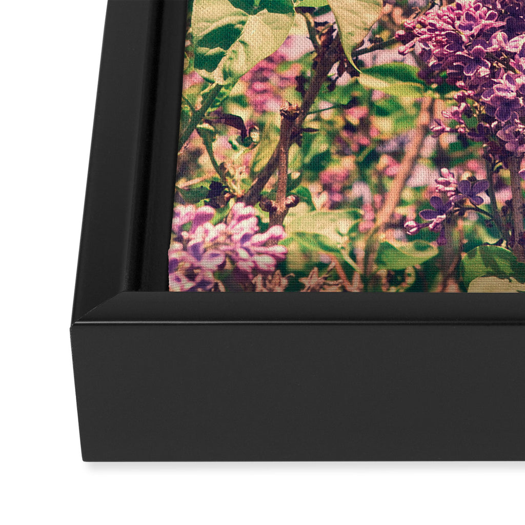 BLISS Framed Canvas Print Gallery Image 3