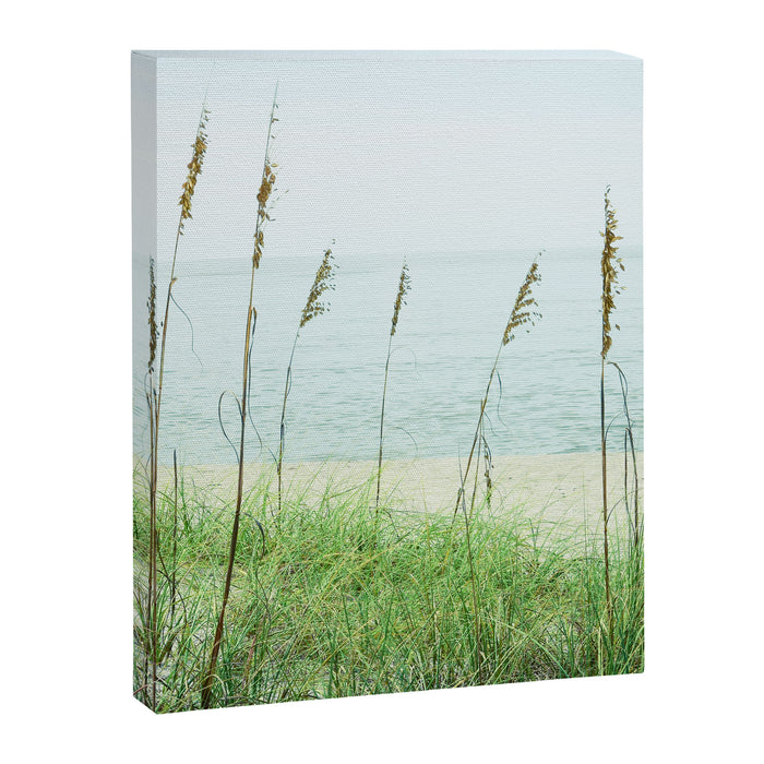 Blissful Canvas Print Gallery Image 1