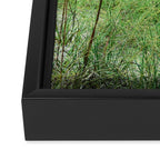 Blissful Framed Canvas Print Gallery Image 3
