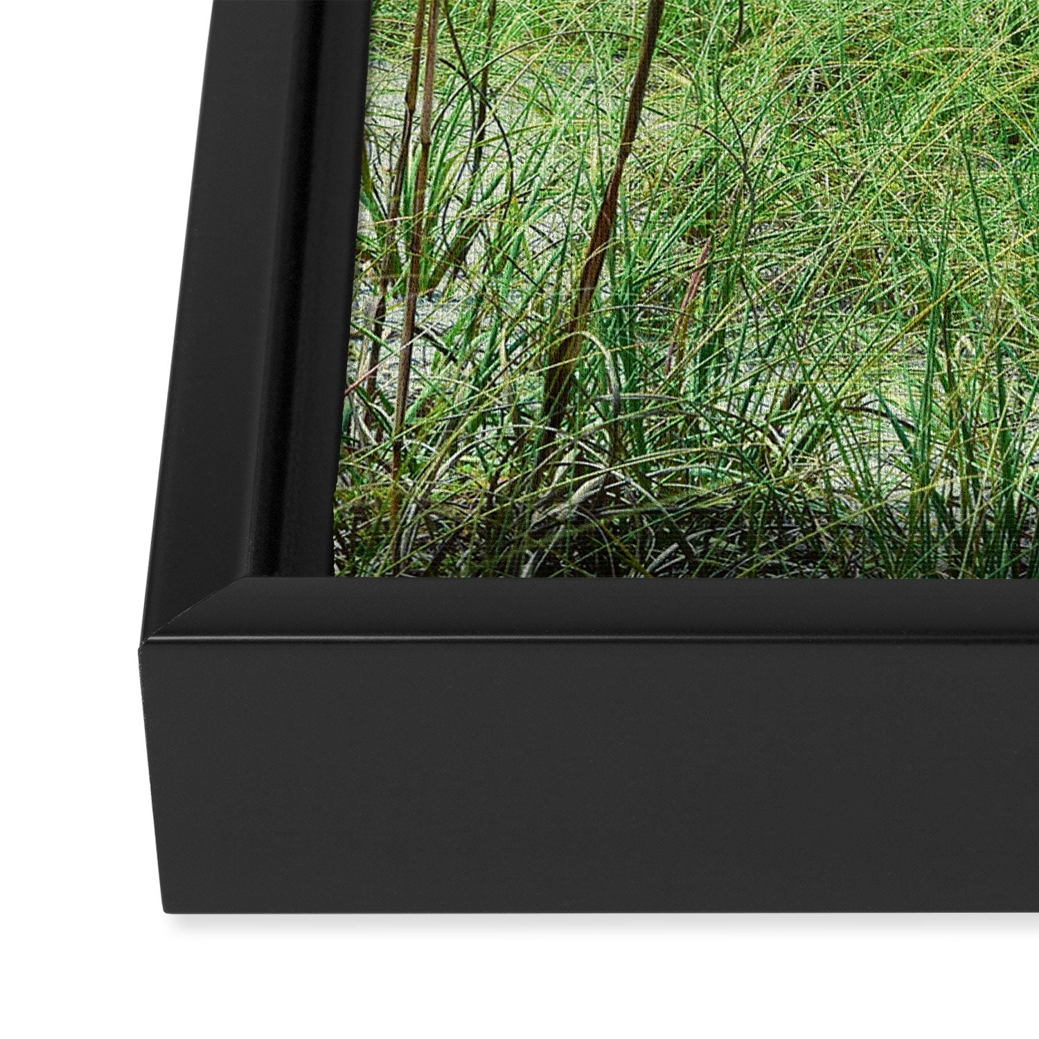 Blissful Framed Canvas Print Gallery Image 3