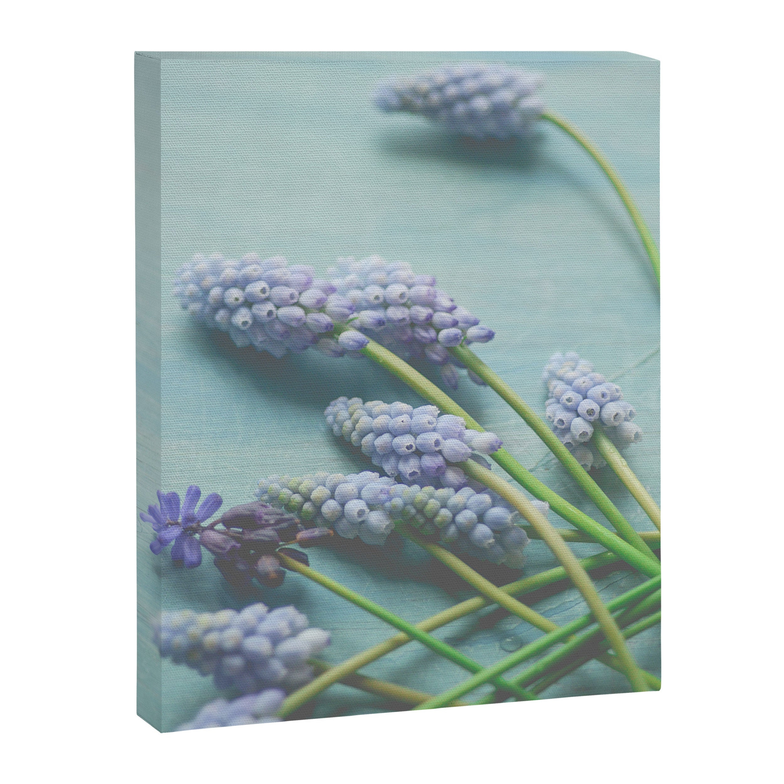Blue Flowers Canvas Print Gallery Image 6