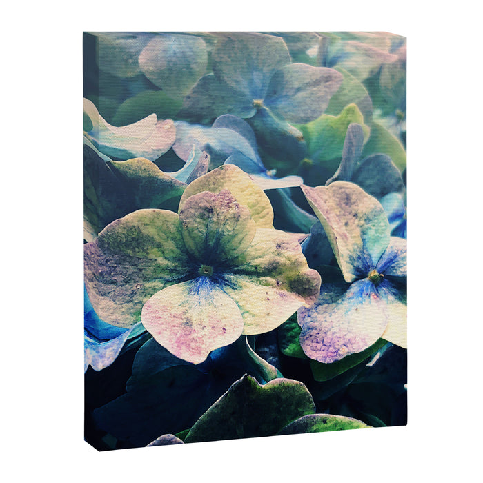 Blue Hydrangea Flower Botanical Canvas Print Gallery Image 1