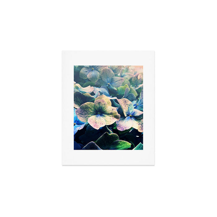 Blue Hydrangea Flower Botanical Art Print Gallery Image 1