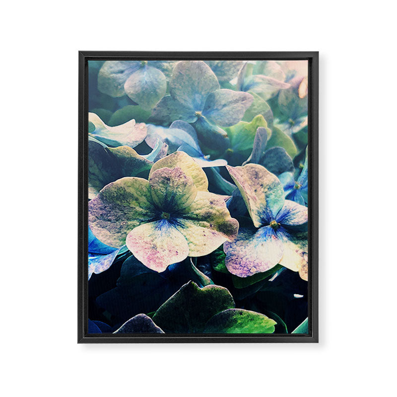 Blue Hydrangea Flower Botanical Framed Canvas Print Gallery Image 6
