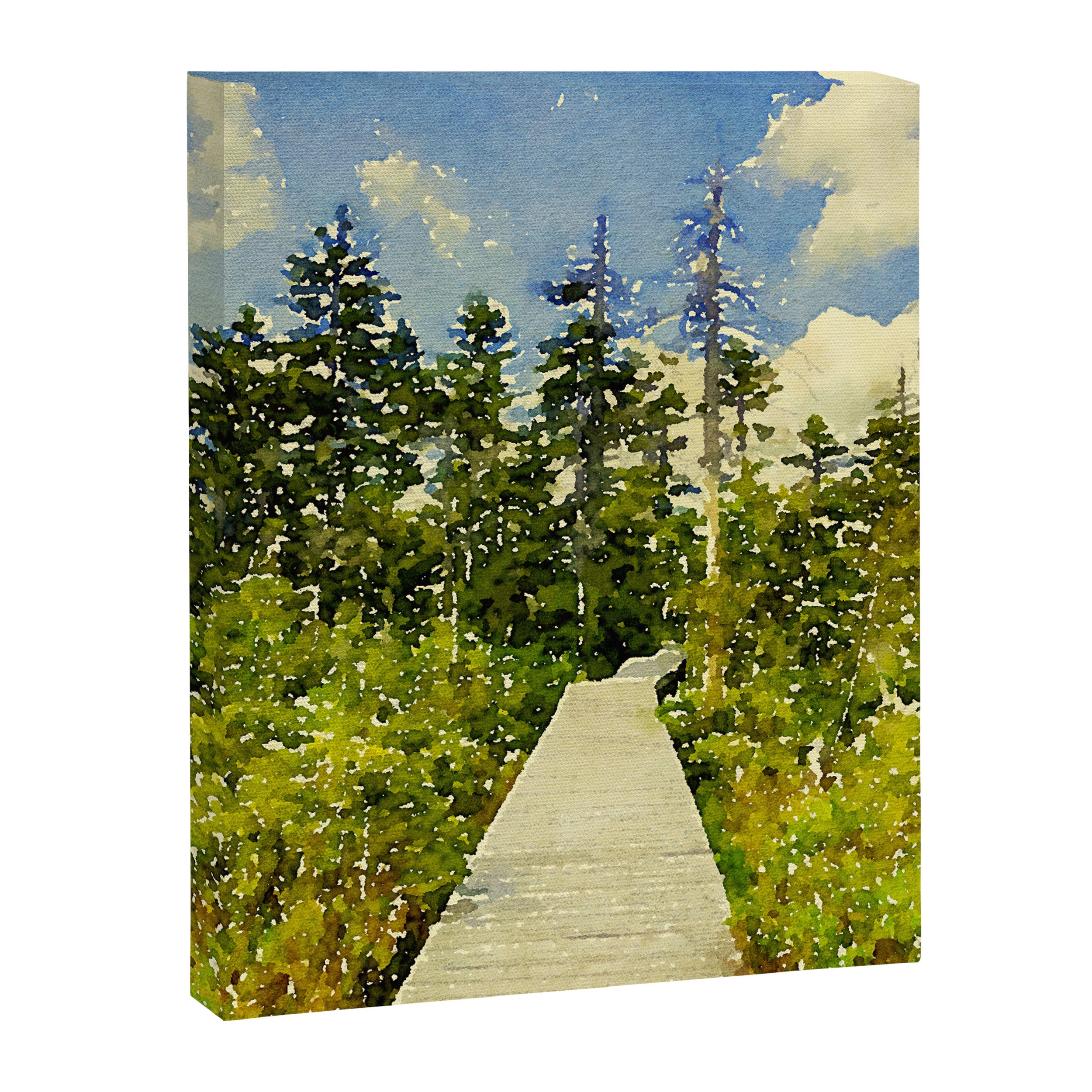 boardwalk path through the bog Canvas Print Gallery Image 6