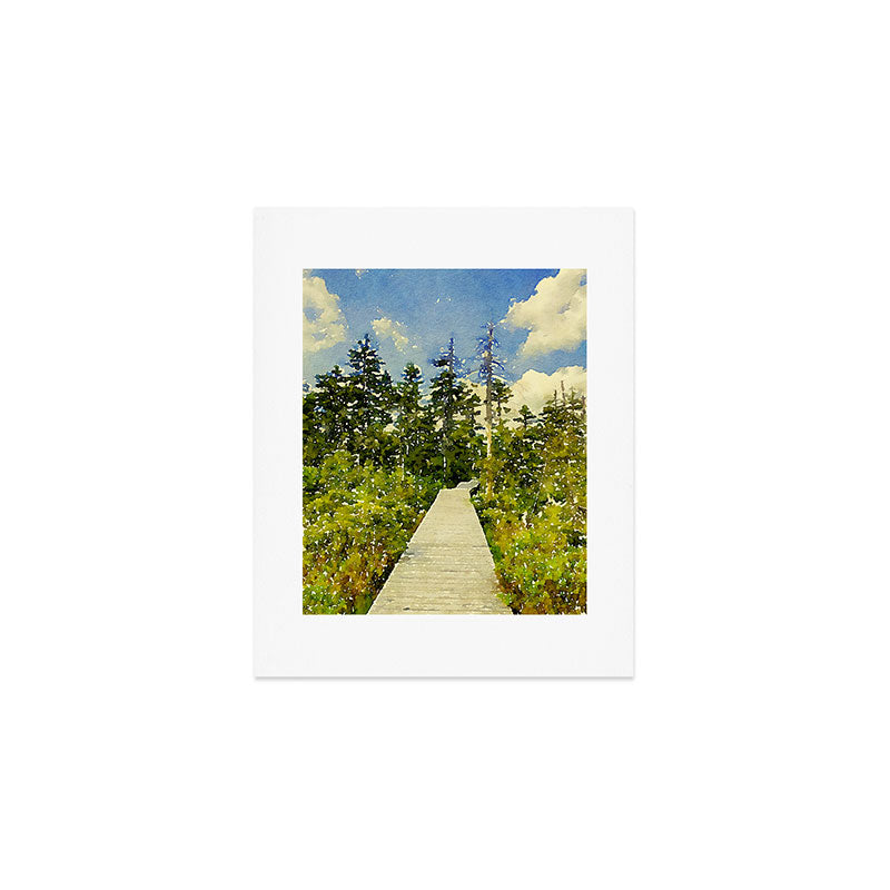 boardwalk path through the bog Art Print Gallery Image 1