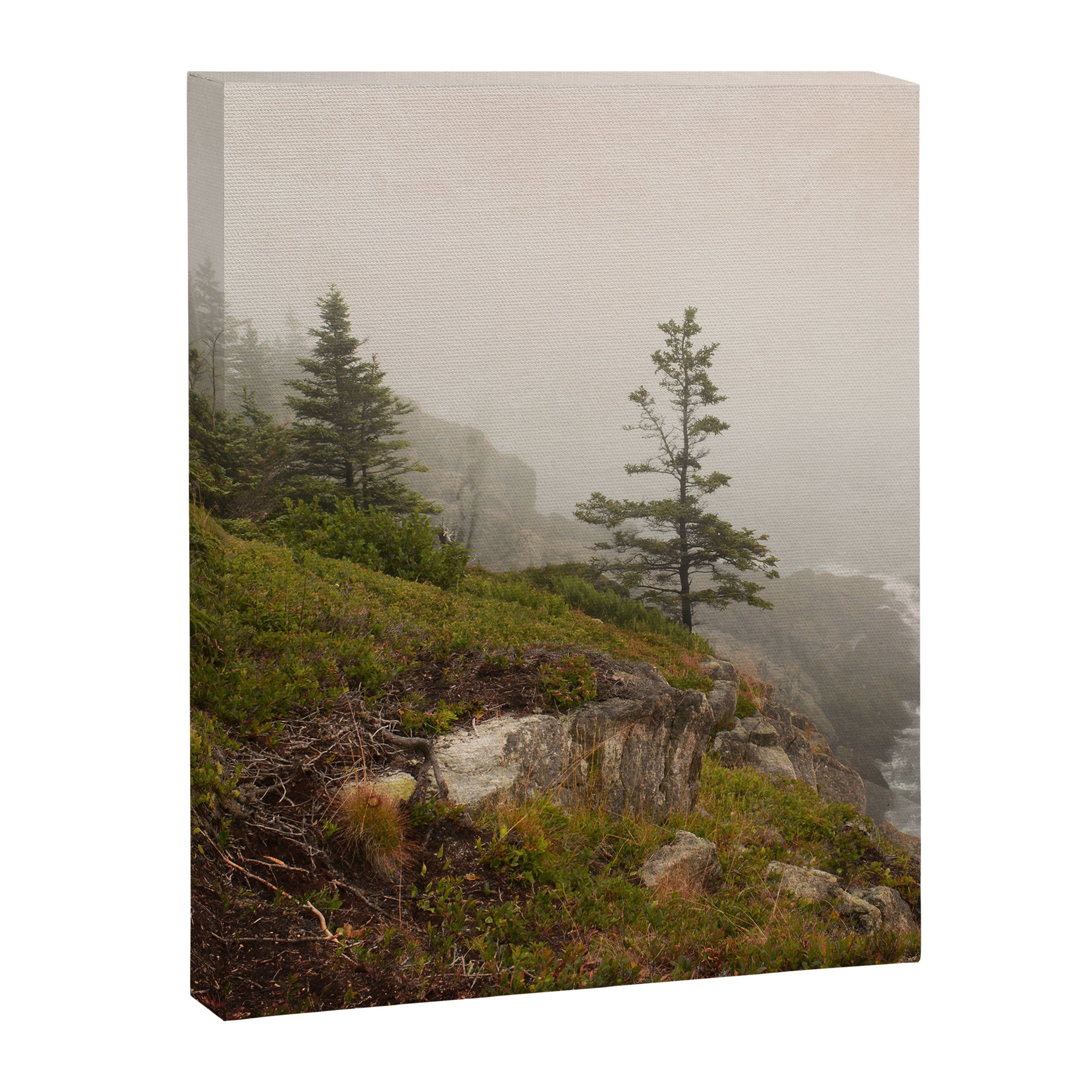 Bold Coast of Maine - travel photography grey landscape peridot green Canvas Print Gallery Image 6