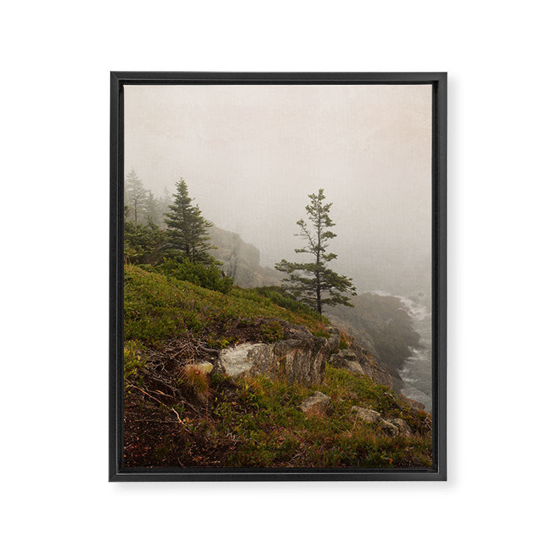 Bold Coast of Maine - travel photography grey landscape peridot green Framed Canvas Print Gallery Image 6