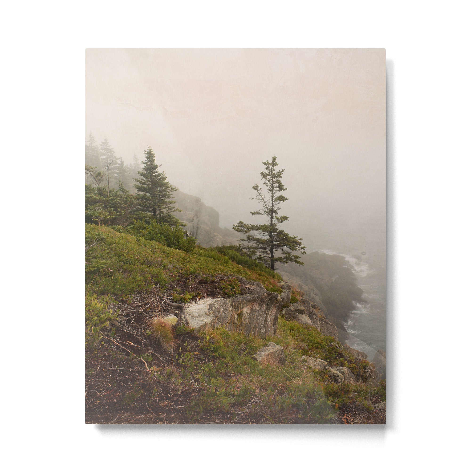 Bold Coast of Maine - travel photography grey landscape peridot green Metal Print Gallery Image 4