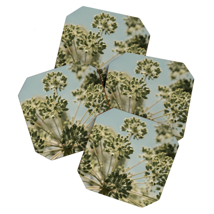 botanical abstract no. 2 color - flower seed head photograph nature Coaster Gallery Image 1