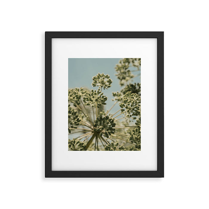 botanical abstract no. 2 color - flower seed head photograph nature Framed Art Print Gallery Image 1