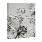 botanical abstract photograph no. 2 - modern black and white floral art Canvas Print Gallery Image 6