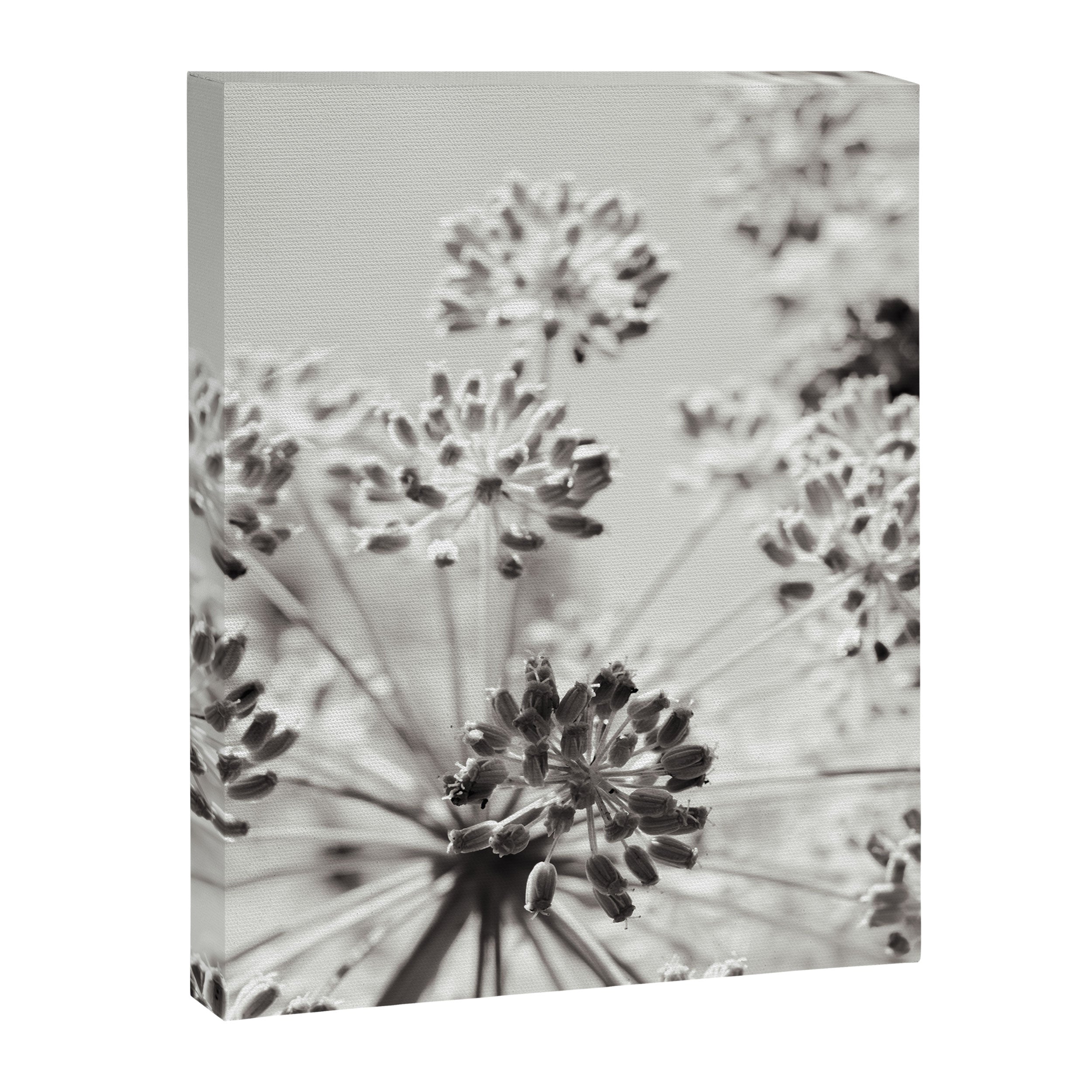 botanical abstract photograph no. 2 - modern black and white floral art Canvas Print Gallery Image 6