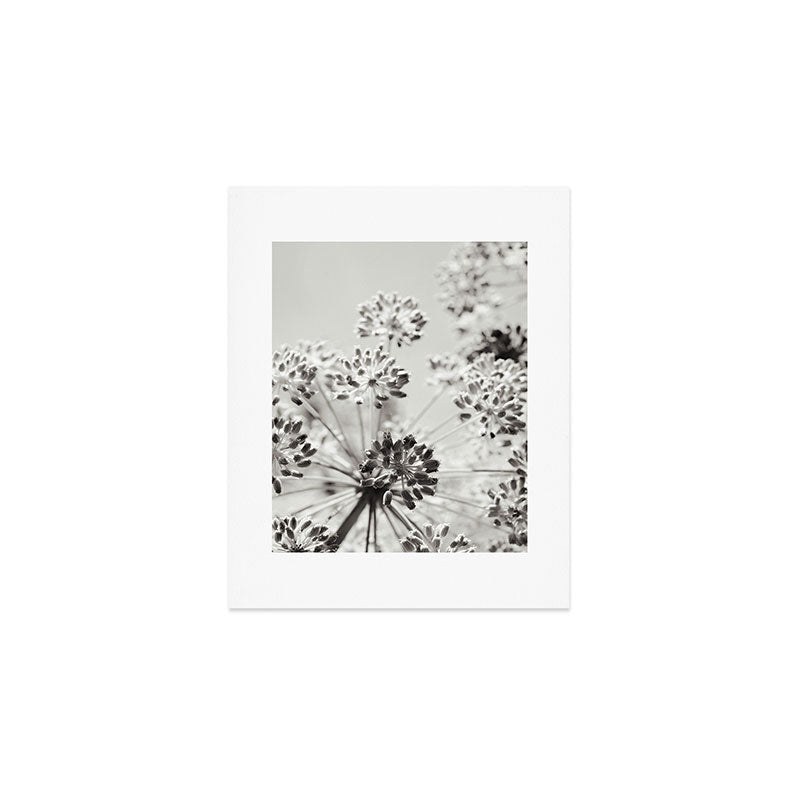 botanical abstract photograph no. 2 - modern black and white floral art Art Print Gallery Image 1