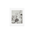botanical abstract photograph no. 2 - modern black and white floral art Art Print Gallery Image 1