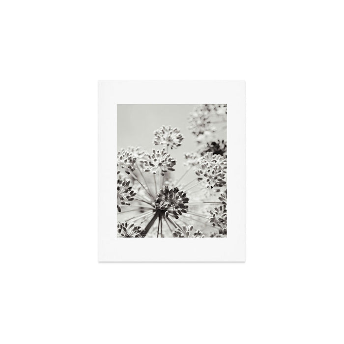 botanical abstract photograph no. 2 - modern black and white floral art Art Print Gallery Image 1