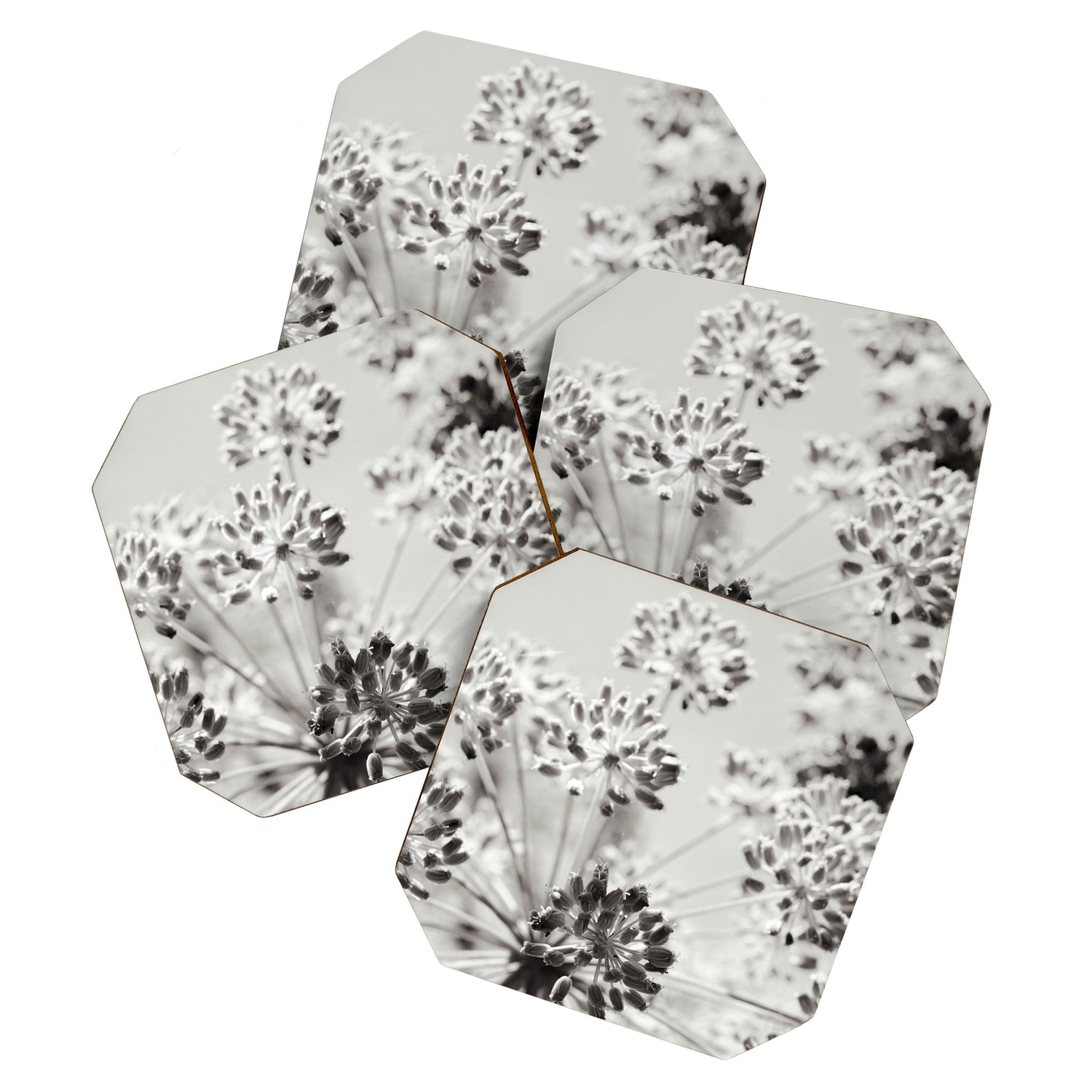 botanical abstract photograph no. 2 - modern black and white floral art Coaster Gallery Image 1