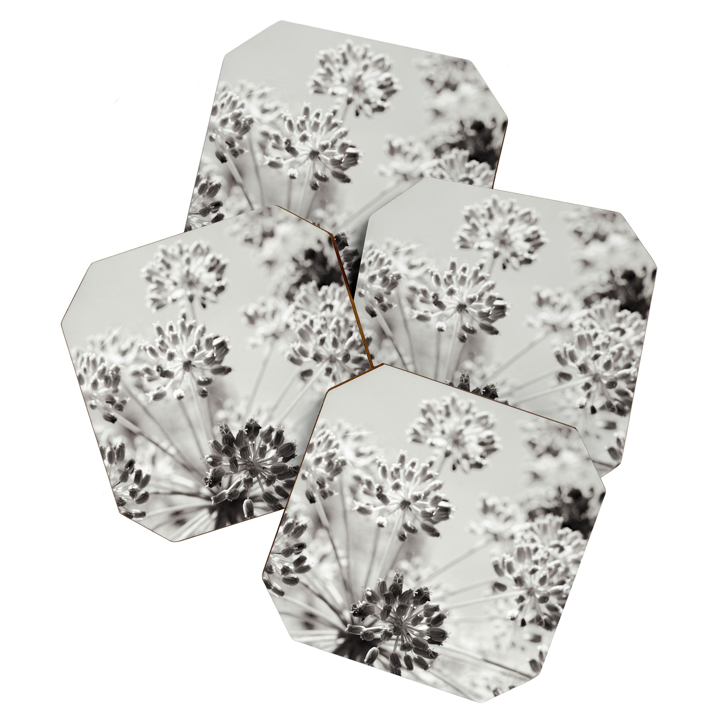 botanical abstract photograph no. 2 - modern black and white floral art Coaster Gallery Image 1