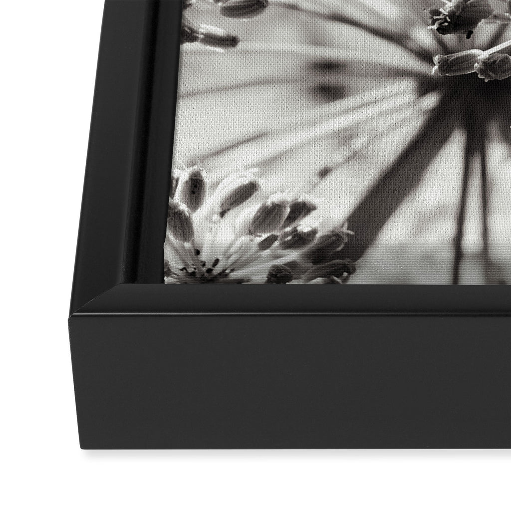 botanical abstract photograph no. 2 - modern black and white floral art Framed Canvas Print Gallery Image 3