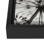 botanical abstract photograph no. 2 - modern black and white floral art Framed Canvas Print Gallery Image 3