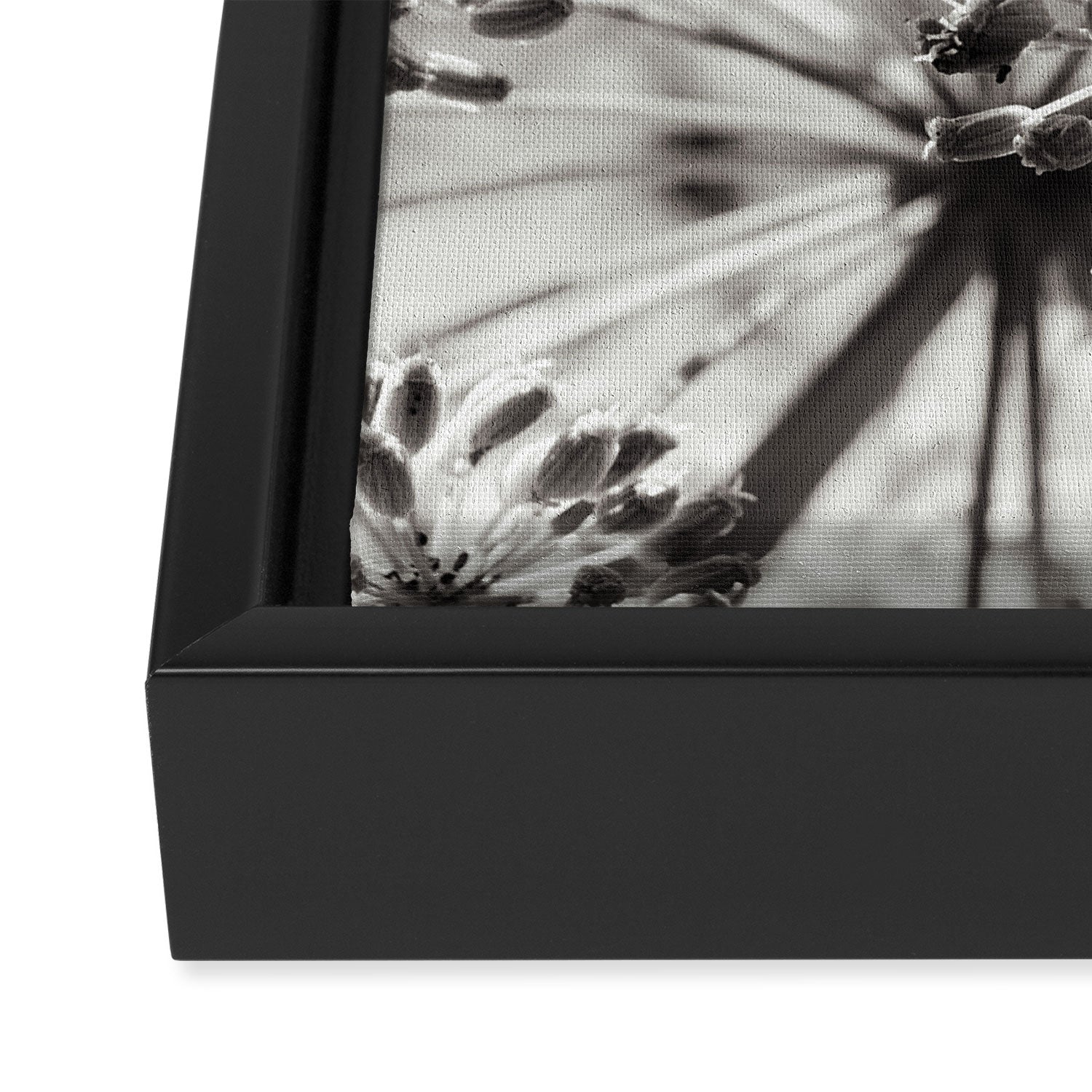botanical abstract photograph no. 2 - modern black and white floral art Framed Canvas Print Gallery Image 3