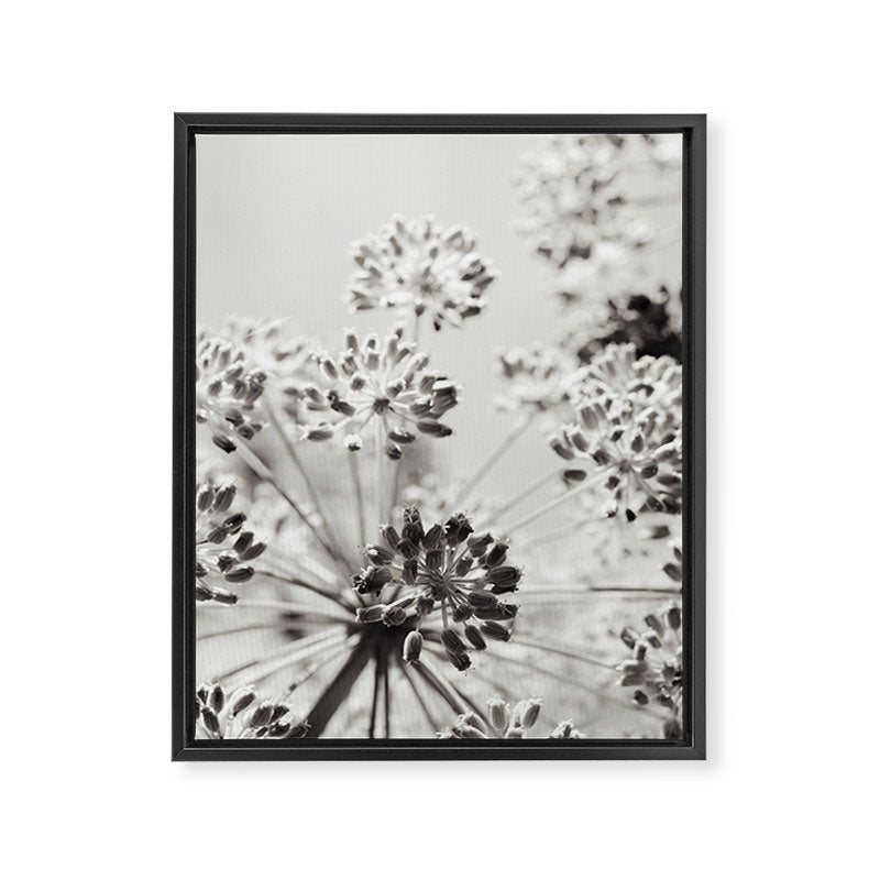 botanical abstract photograph no. 2 - modern black and white floral art Framed Canvas Print Gallery Image 6
