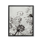 botanical abstract photograph no. 2 - modern black and white floral art Framed Canvas Print Gallery Image 6