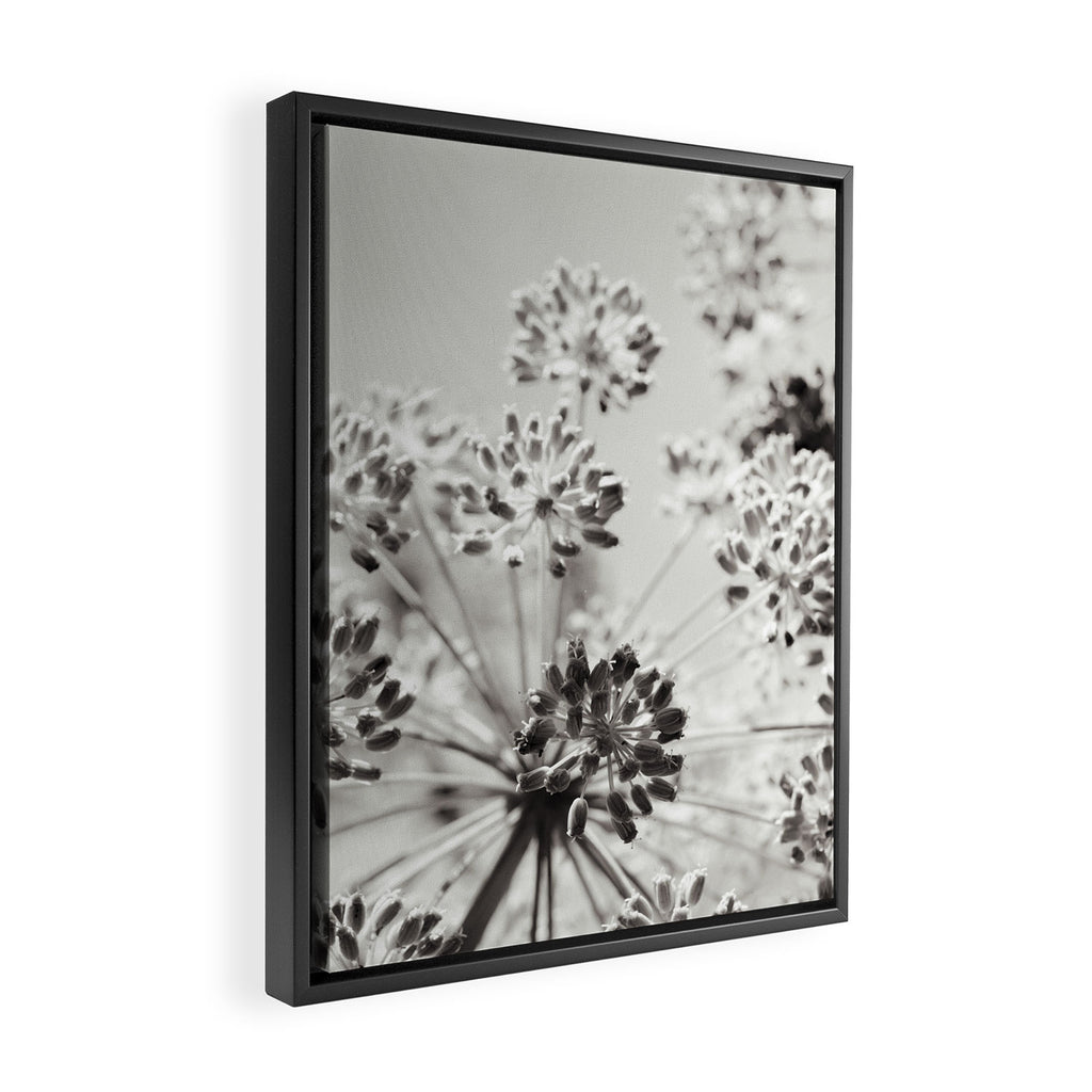 botanical abstract photograph no. 2 - modern black and white floral art Framed Canvas Print Gallery Image 2