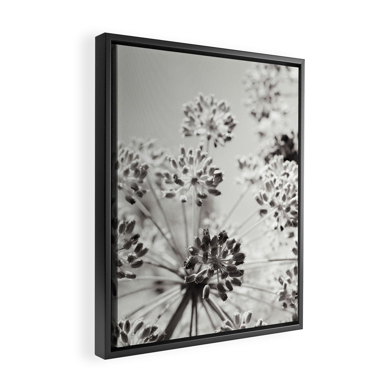 botanical abstract photograph no. 2 - modern black and white floral art Framed Canvas Print Gallery Image 2