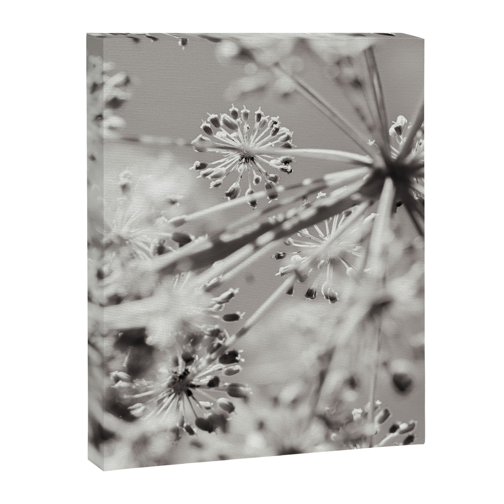 botanical abstract photograph no. 4 Canvas Print Gallery Image 6