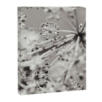 botanical abstract photograph no. 4 Canvas Print Gallery Image 6