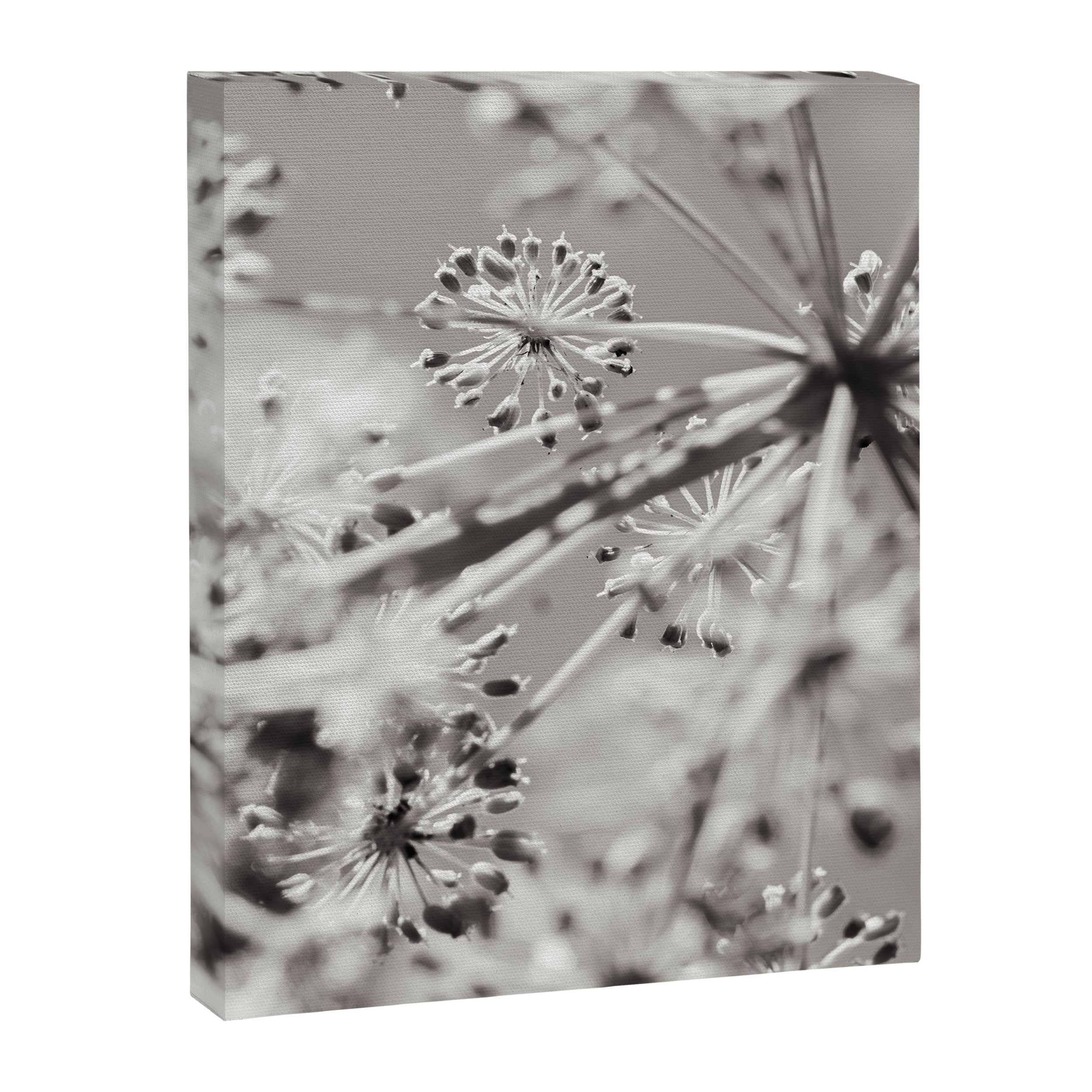 botanical abstract photograph no. 4 Canvas Print Gallery Image 6