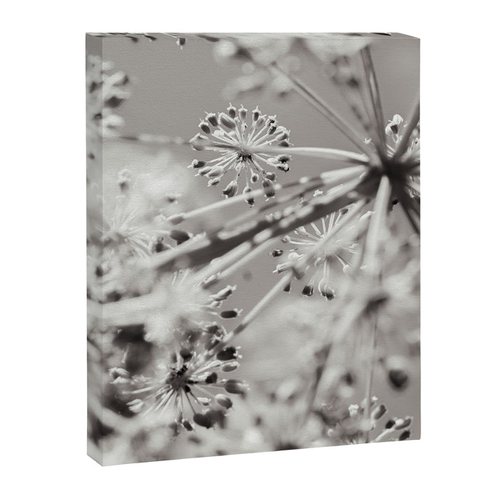 botanical abstract photograph no. 4 Canvas Print Gallery Image 1