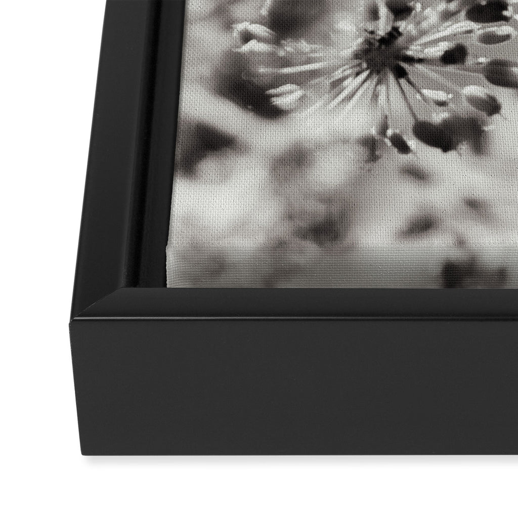 botanical abstract photograph no. 4 Framed Canvas Print Gallery Image 3