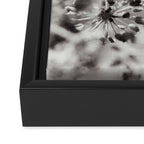 botanical abstract photograph no. 4 Framed Canvas Print Gallery Image 3