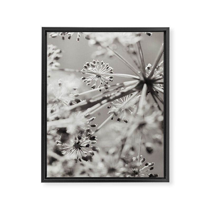 botanical abstract photograph no. 4 Framed Canvas Print Gallery Image 6
