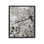 botanical abstract photograph no. 4 Framed Canvas Print Gallery Image 6