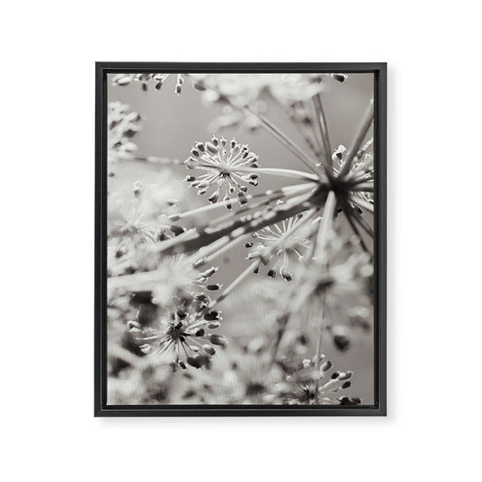botanical abstract photograph no. 4 Framed Canvas Print Gallery Image 1